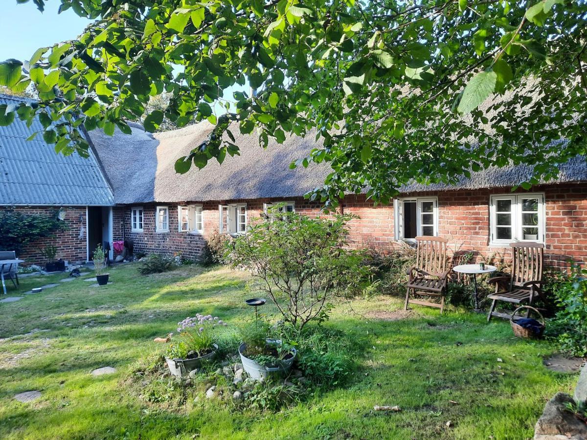 Ringkobing Fjord B&B Skjern Bagian luar foto